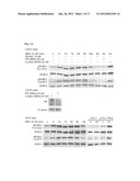 Methods for Inhibiting Cancer Cell Proliferation diagram and image