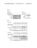 Methods for Inhibiting Cancer Cell Proliferation diagram and image