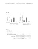 Methods for Inhibiting Cancer Cell Proliferation diagram and image