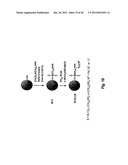 NITRIC OXIDE-RELEASING PARTICLES FOR NITRIC OXIDE THERAPEUTICS AND     BIOMEDICAL APPLICATIONS diagram and image