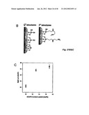 NITRIC OXIDE-RELEASING PARTICLES FOR NITRIC OXIDE THERAPEUTICS AND     BIOMEDICAL APPLICATIONS diagram and image