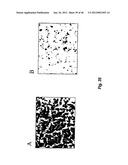 NITRIC OXIDE-RELEASING PARTICLES FOR NITRIC OXIDE THERAPEUTICS AND     BIOMEDICAL APPLICATIONS diagram and image