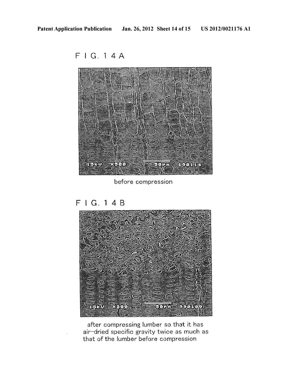 PLASTIC-WORKED LUMBER AND PROCESS FOR MANUFACTURING THE SAME - diagram, schematic, and image 15