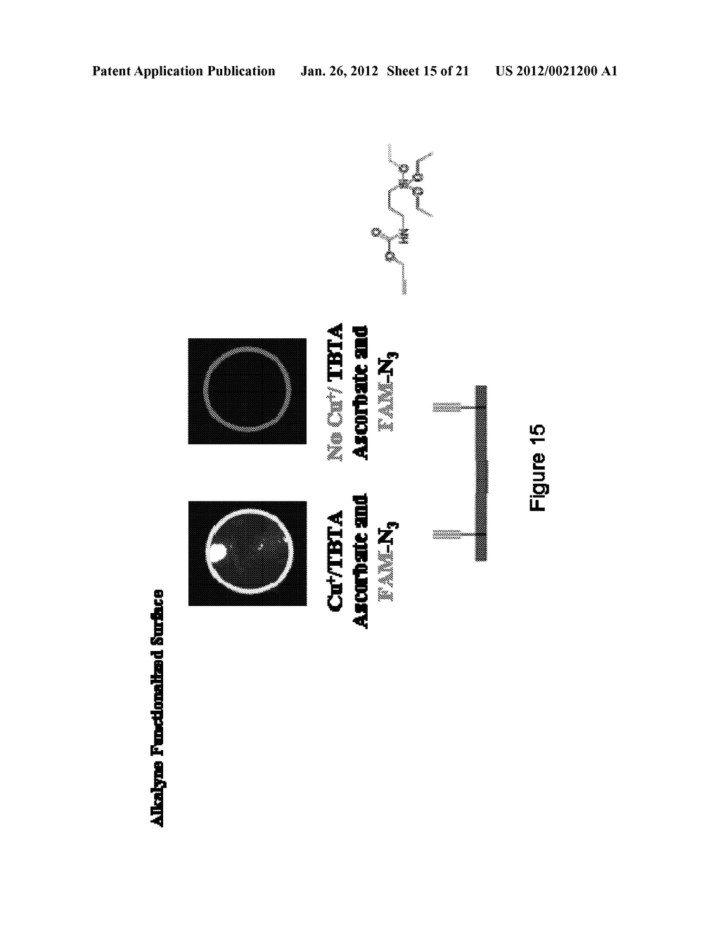 HETEROBIFUNCTIONAL POLYMERS AND METHODS FOR LAYER-BY-LAYER CONSTRUCTION OF     MULTILAYER FILMS - diagram, schematic, and image 16