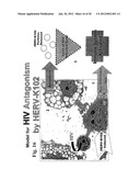 Human Endogenous Retrovirus with Foamy-Like Properties and Uses Thereof diagram and image