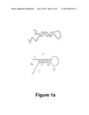 TRIGGERED MOLECULAR GEOMETRY BASED BIOIMAGING PROBES diagram and image