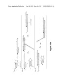 TRIGGERED MOLECULAR GEOMETRY BASED BIOIMAGING PROBES diagram and image