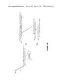 TRIGGERED MOLECULAR GEOMETRY BASED BIOIMAGING PROBES diagram and image