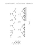 TRIGGERED MOLECULAR GEOMETRY BASED BIOIMAGING PROBES diagram and image