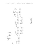 TRIGGERED MOLECULAR GEOMETRY BASED BIOIMAGING PROBES diagram and image