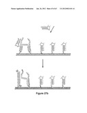 TRIGGERED MOLECULAR GEOMETRY BASED BIOIMAGING PROBES diagram and image