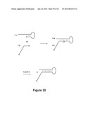 TRIGGERED MOLECULAR GEOMETRY BASED BIOIMAGING PROBES diagram and image
