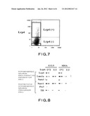 DOPAMINERGIC NEURON PROLIFERATIVE PROGENITOR CELL MARKER Nato3 diagram and image