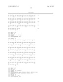 DOPAMINERGIC NEURON PROLIFERATIVE PROGENITOR CELL MARKER Nato3 diagram and image