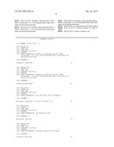 Synthetic siRNA Detection Method diagram and image