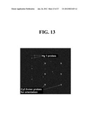 Compositions, Products, Methods And Systems to Monitor Water And Other     Ecosystems diagram and image