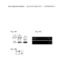 Compositions, Products, Methods And Systems to Monitor Water And Other     Ecosystems diagram and image