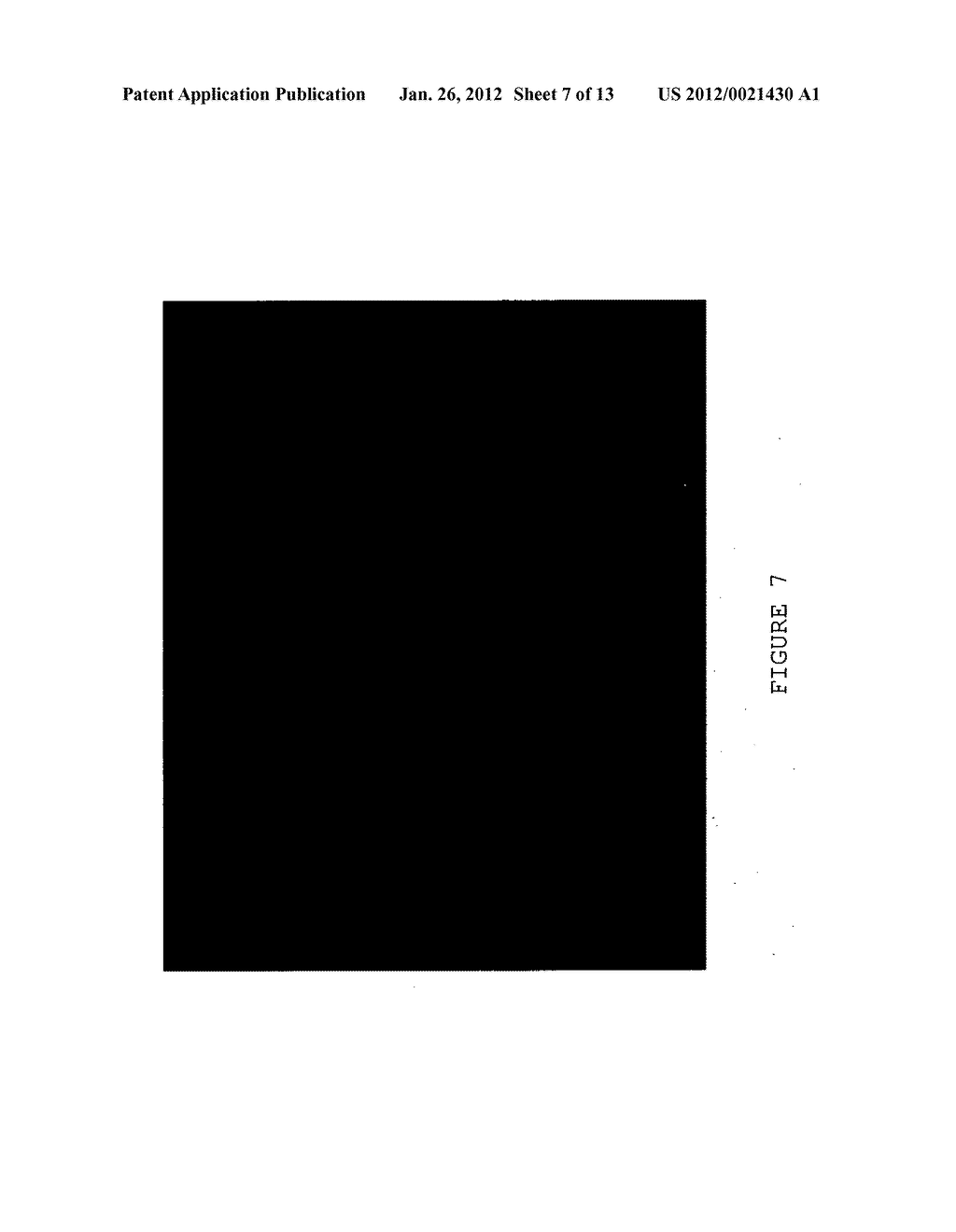 FUNCTIONAL LIPID CONSTRUCTS - diagram, schematic, and image 08