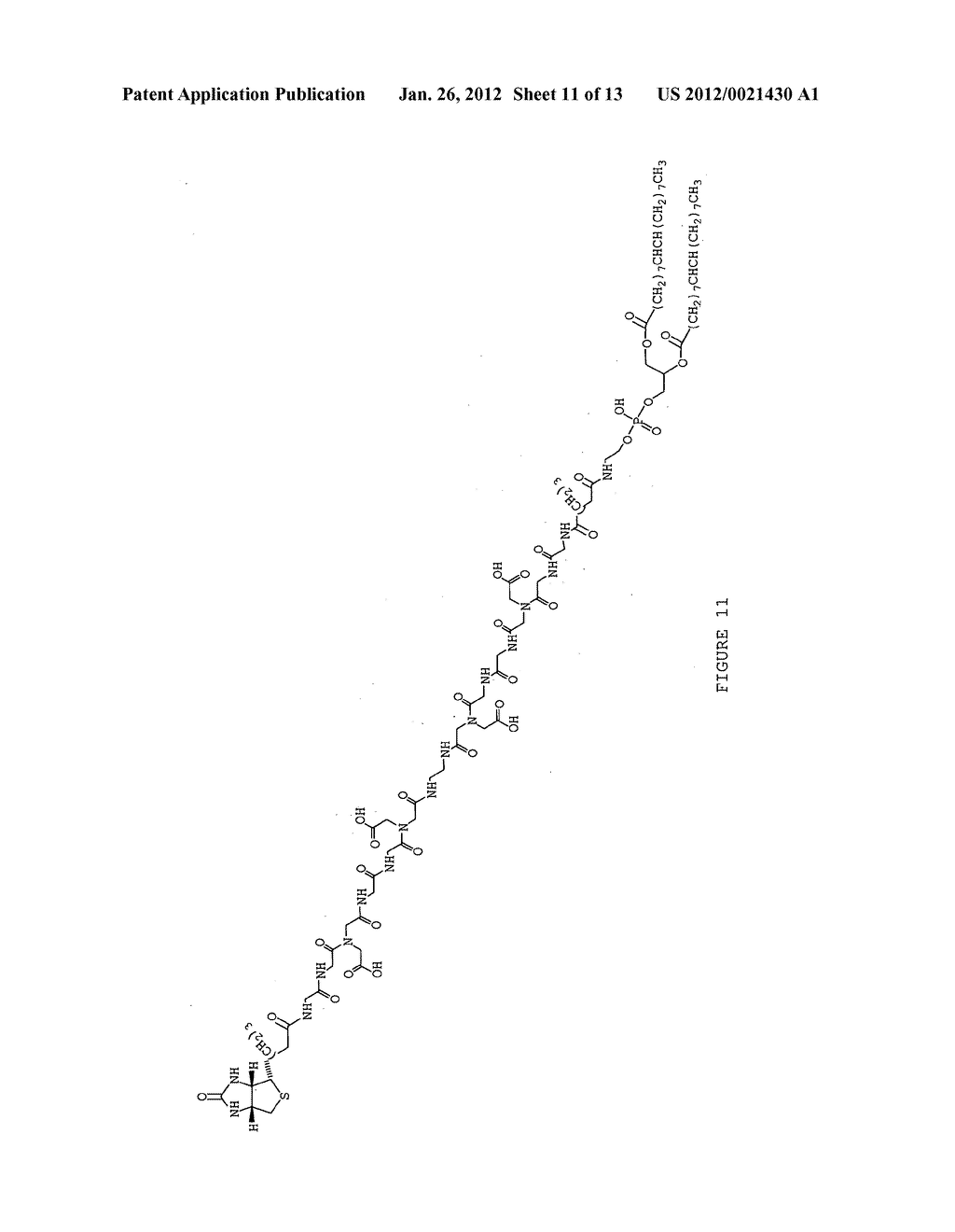 FUNCTIONAL LIPID CONSTRUCTS - diagram, schematic, and image 12