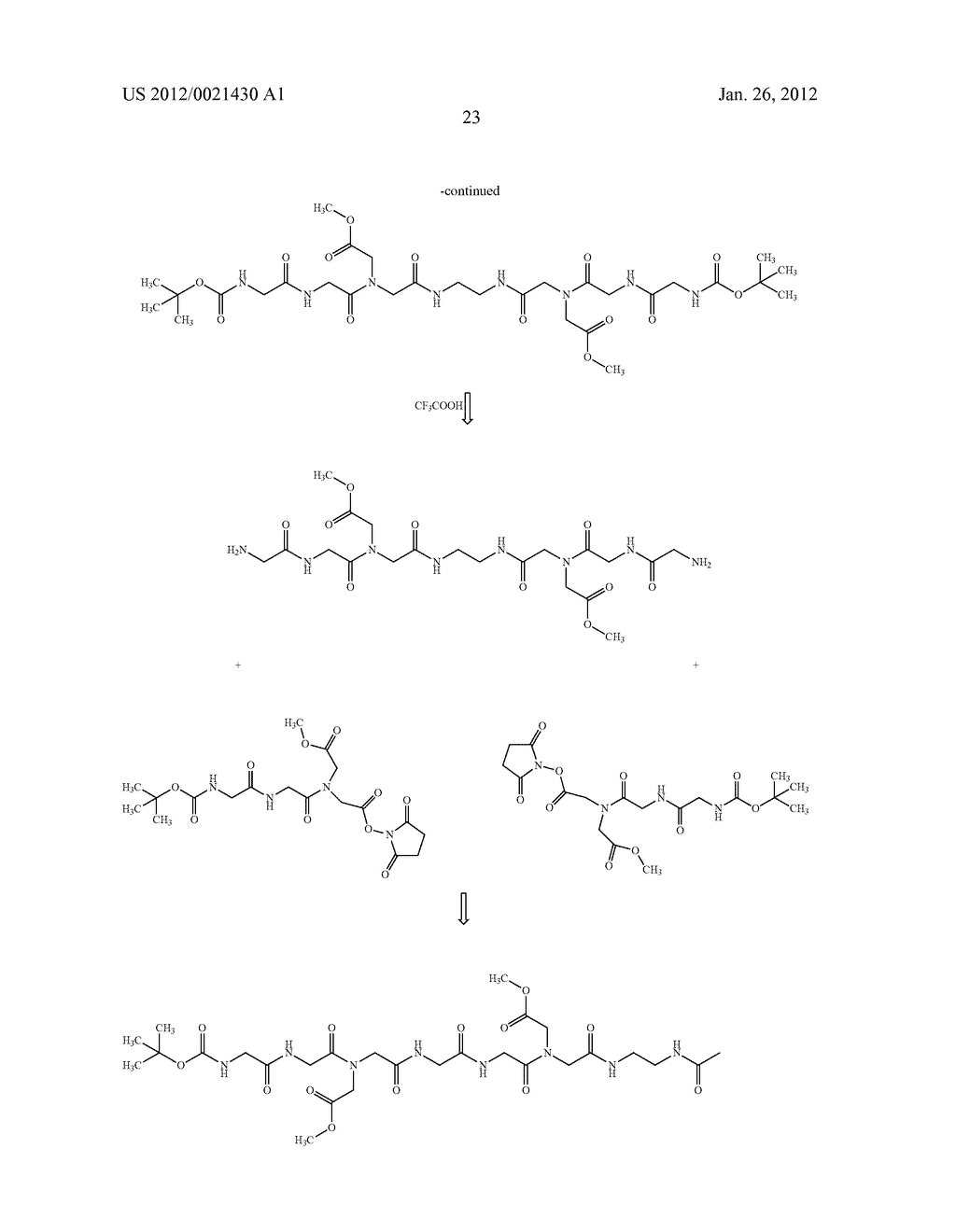 FUNCTIONAL LIPID CONSTRUCTS - diagram, schematic, and image 37