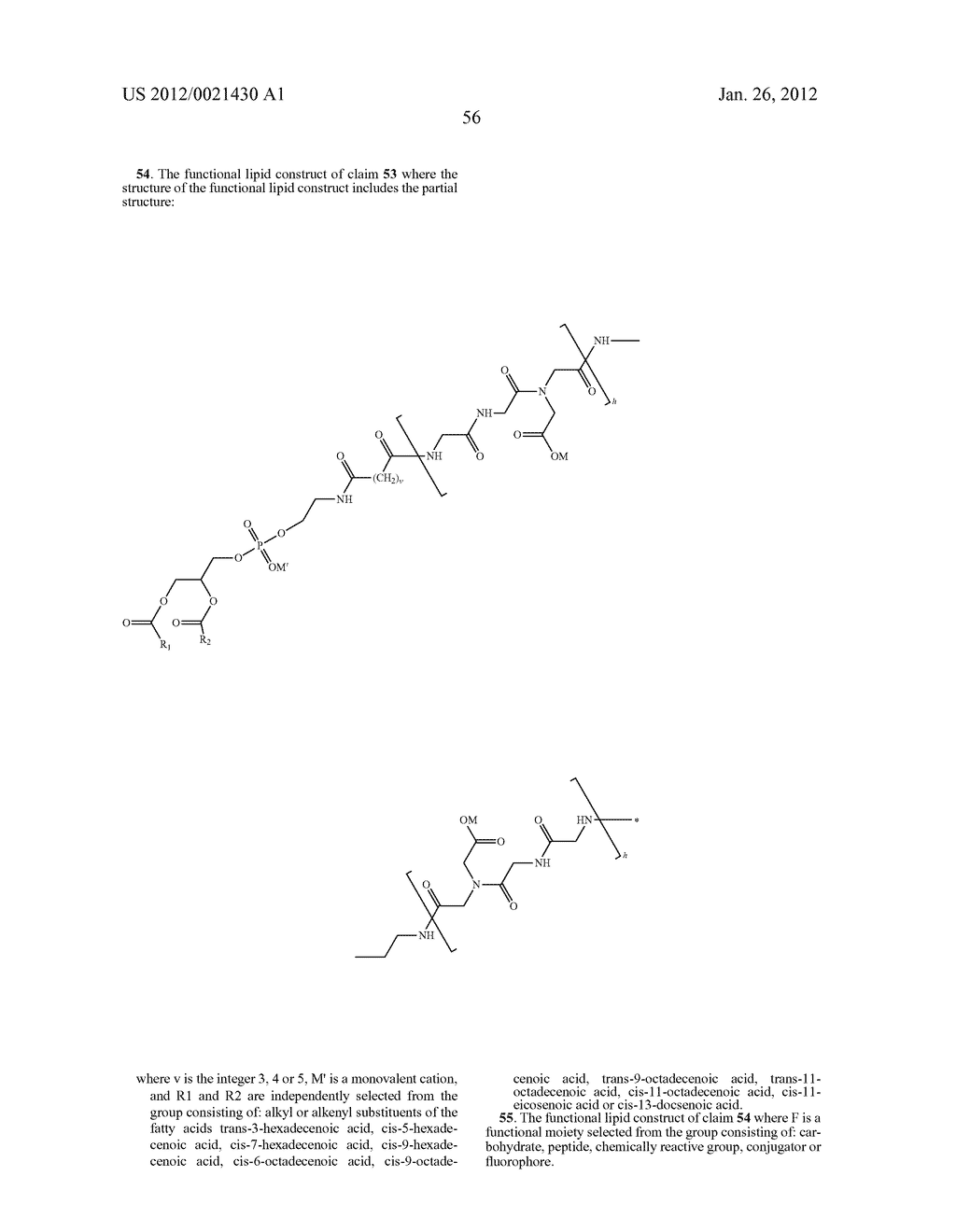 FUNCTIONAL LIPID CONSTRUCTS - diagram, schematic, and image 70