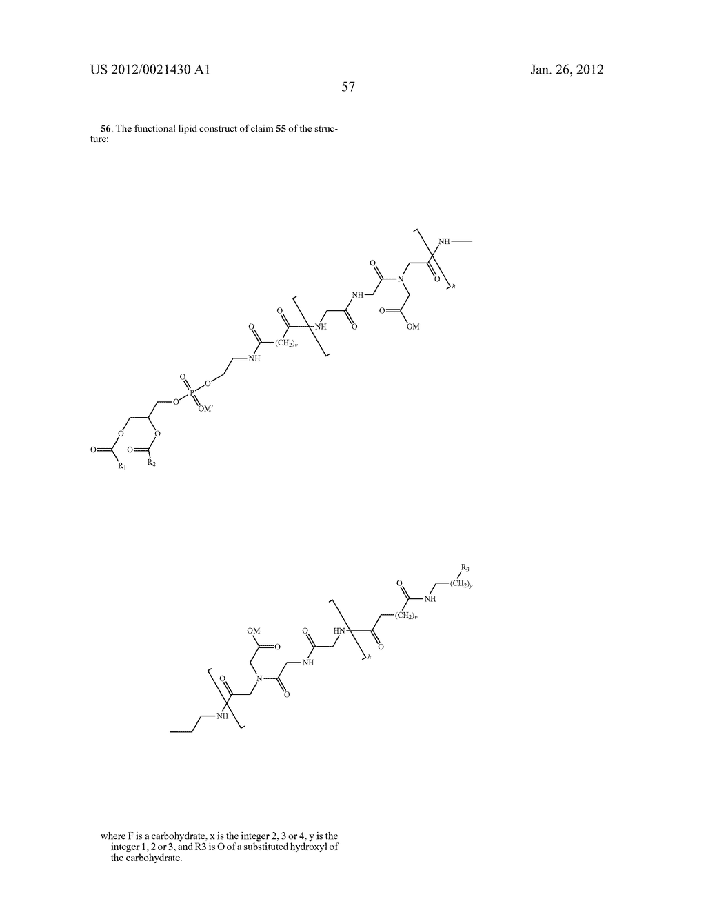 FUNCTIONAL LIPID CONSTRUCTS - diagram, schematic, and image 71