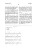 Phosphorylated NF45 Biomarkers, Antibodies And Methods Of Using Same diagram and image