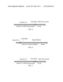 METHODS FOR TESTING LIGAND BINDING TO G PROTEIN-COUPLED RECEPTORS diagram and image