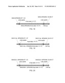 METHODS FOR TESTING LIGAND BINDING TO G PROTEIN-COUPLED RECEPTORS diagram and image