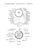 METHODS FOR TESTING LIGAND BINDING TO G PROTEIN-COUPLED RECEPTORS diagram and image