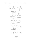 BIOLOGICAL METHODS FOR PREPARING ADIPIC ACID diagram and image