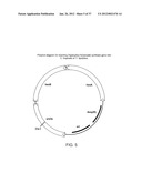 BIOLOGICAL METHODS FOR PREPARING ADIPIC ACID diagram and image