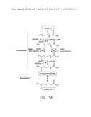 BIOLOGICAL METHODS FOR PREPARING ADIPIC ACID diagram and image