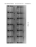 BIOLOGICAL METHODS FOR PREPARING ADIPIC ACID diagram and image