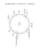 BIOLOGICAL METHODS FOR PREPARING ADIPIC ACID diagram and image