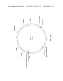 BIOLOGICAL METHODS FOR PREPARING ADIPIC ACID diagram and image