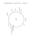 BIOLOGICAL METHODS FOR PREPARING ADIPIC ACID diagram and image