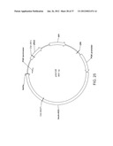 BIOLOGICAL METHODS FOR PREPARING ADIPIC ACID diagram and image