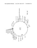 BIOLOGICAL METHODS FOR PREPARING ADIPIC ACID diagram and image