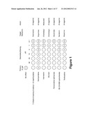 SMALL MOLECULES SUPPORTING PLURIPOTENT CELL GROWTH AND METHODS THEREOF diagram and image