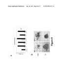 SMALL MOLECULES SUPPORTING PLURIPOTENT CELL GROWTH AND METHODS THEREOF diagram and image