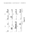 SMALL MOLECULES SUPPORTING PLURIPOTENT CELL GROWTH AND METHODS THEREOF diagram and image