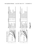 SMALL MOLECULES SUPPORTING PLURIPOTENT CELL GROWTH AND METHODS THEREOF diagram and image