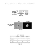 EFFICIENT INDUCTION OF PLURIPOTENT STEM CELLS USING SMALL MOLECULE     COMPOUNDS diagram and image