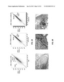 EFFICIENT INDUCTION OF PLURIPOTENT STEM CELLS USING SMALL MOLECULE     COMPOUNDS diagram and image