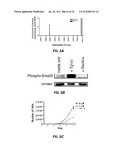 EFFICIENT INDUCTION OF PLURIPOTENT STEM CELLS USING SMALL MOLECULE     COMPOUNDS diagram and image