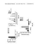 EFFICIENT INDUCTION OF PLURIPOTENT STEM CELLS USING SMALL MOLECULE     COMPOUNDS diagram and image