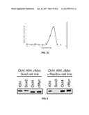 EFFICIENT INDUCTION OF PLURIPOTENT STEM CELLS USING SMALL MOLECULE     COMPOUNDS diagram and image