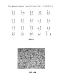 EFFICIENT INDUCTION OF PLURIPOTENT STEM CELLS USING SMALL MOLECULE     COMPOUNDS diagram and image