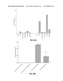 EFFICIENT INDUCTION OF PLURIPOTENT STEM CELLS USING SMALL MOLECULE     COMPOUNDS diagram and image